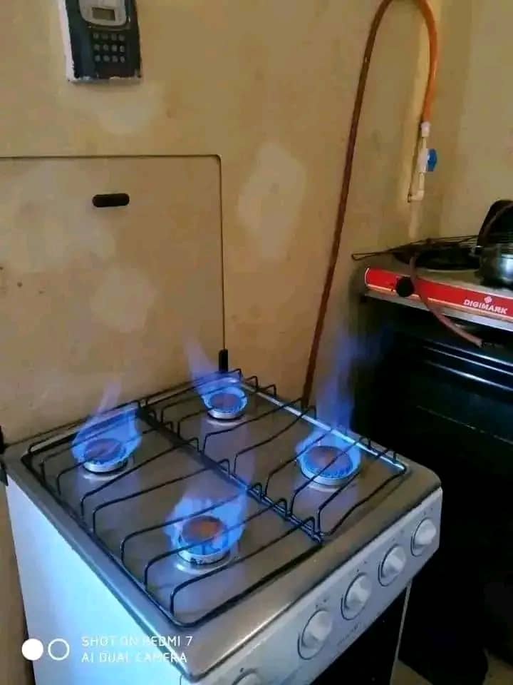 Cooking with clean biogas